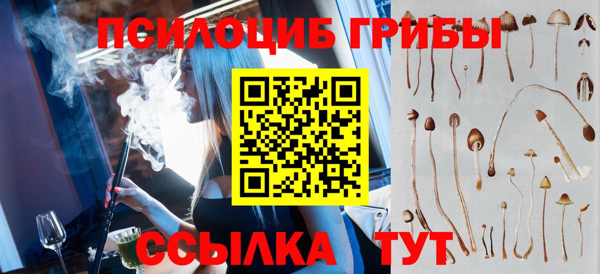 Саяногорск  Галлюциногенные грибы MAGIC MUSHROOMS  где можно купить наркотик  Вход с VPN 